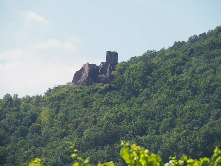 Saint-ulrich castle in Ribeauville, Elzas (Frankrijk)